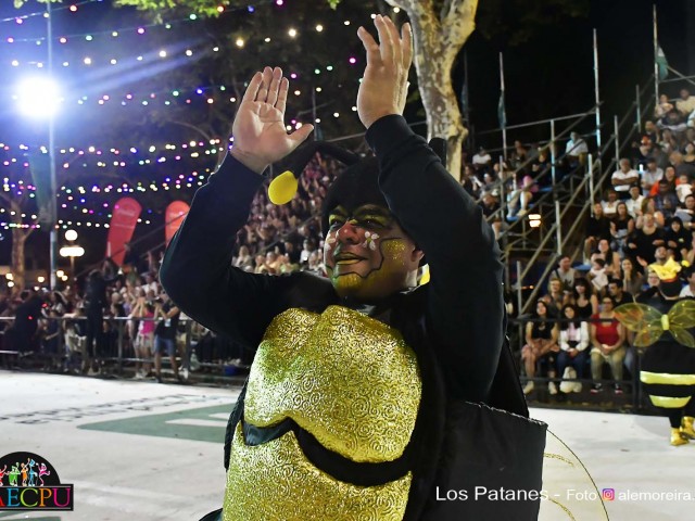 DESFILE-DE-CARNAVAL-029
