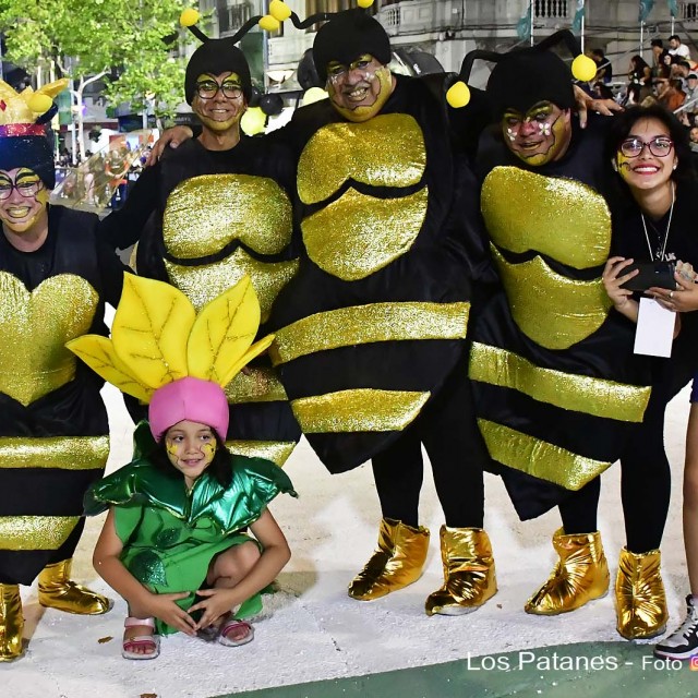 DESFILE-DE-CARNAVAL-031