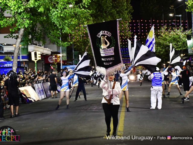 DESFILE-DE-CARNAVAL-054
