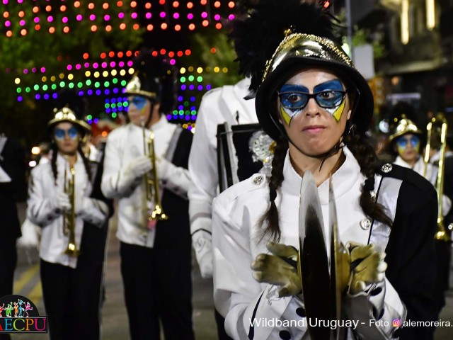 DESFILE-DE-CARNAVAL-056