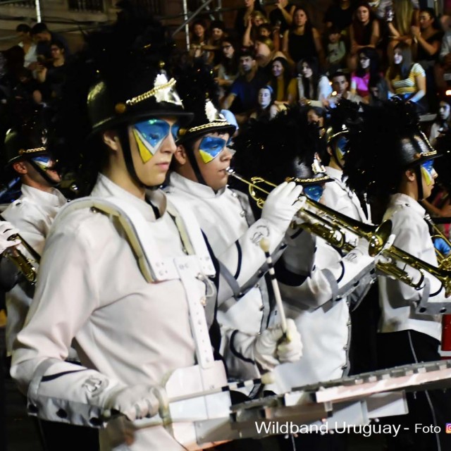 DESFILE-DE-CARNAVAL-057