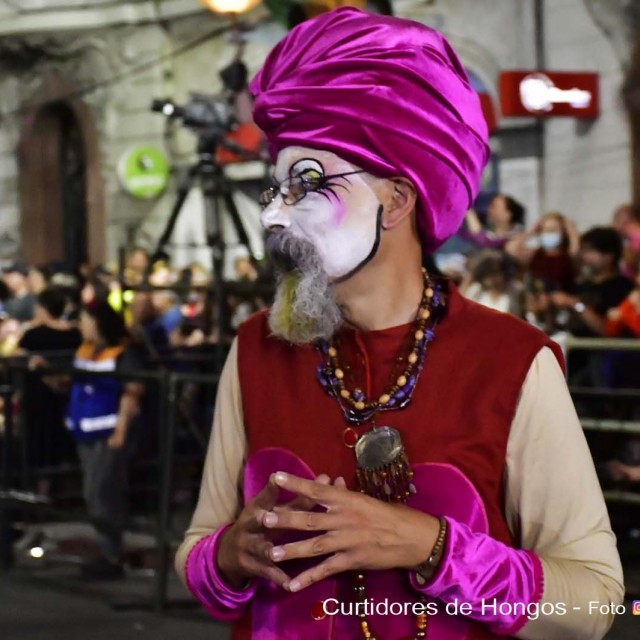 DESFILE-DE-CARNAVAL-177
