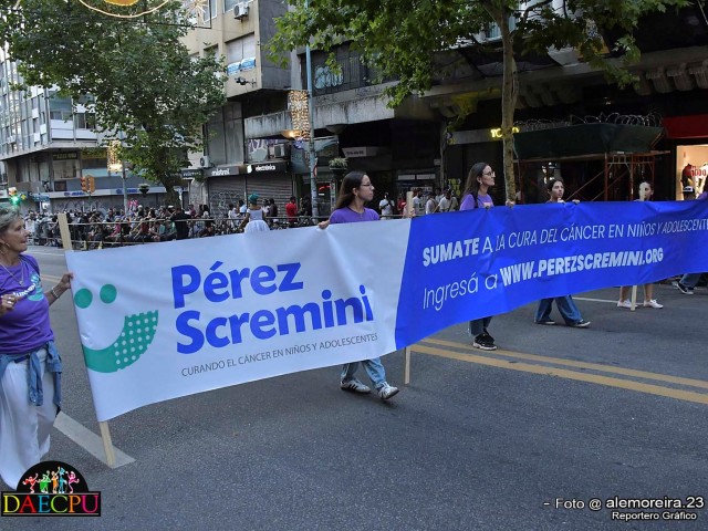 DESFILE_DE_CARNAVAL_003