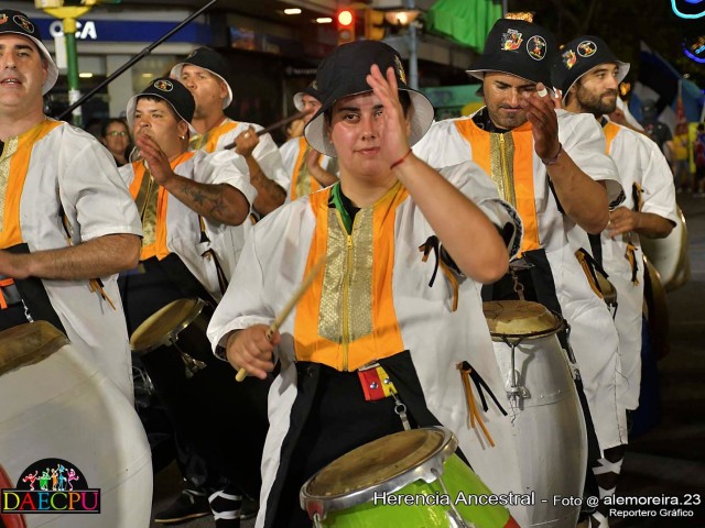DESFILE_DE_CARNAVAL_074
