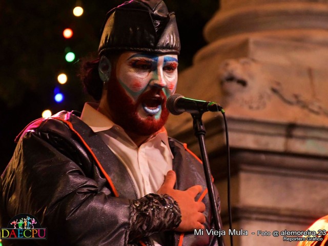 DESFILE_DE_CARNAVAL_236