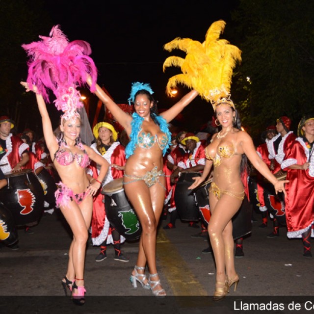 Llamadas de Colonia 2014