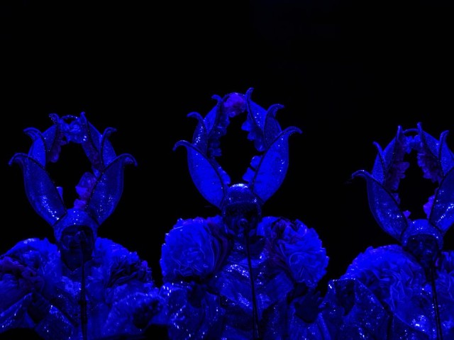 _DSC8773