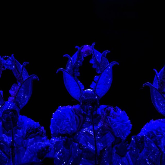 _DSC8773