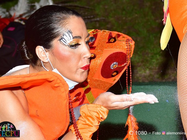 carnaval_312
