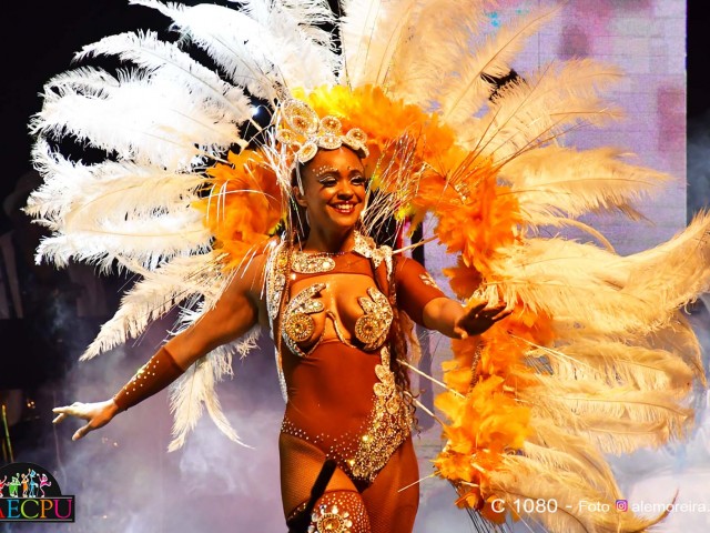 carnaval_341