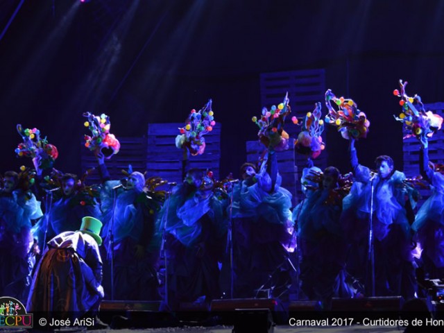 dsc-0276-habifcxy