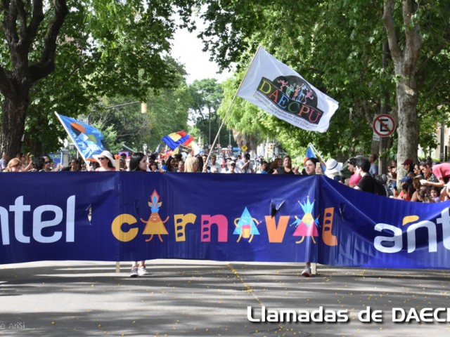 dsc-0424-9m3qvcib
